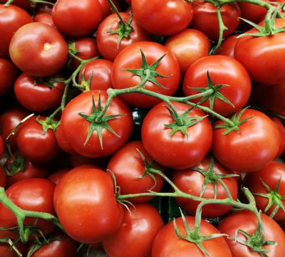 Bio Tomatendünger 1 kg image